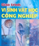 Giáo trình Vi sinh vật học công nghiệp - PGS.TS. Nguyễn Xuân Thành (chủ biên)