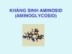 Bài giảng Hóa dược: Kháng sinh Aminosid