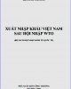 Ebook Xuất nhập khẩu Việt Nam sau hội nhập WTO: Phần 2