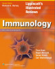 Ebook Illustrated reviews, immunology (2nd edition): Part 2
