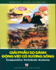 Giáo trình Giải phẫu so sánh động vật có xương sống (Tái bản lần thứ nhất): Phần 1