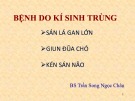 Bài giảng Bệnh do kí sinh trùng - BS. Trần Song Ngọc Châu