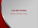 Bài giảng Luật môi trường: Bài 5 - ThS. Nguyễn Thị Hằng